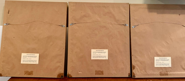 Set of 3 Fine 19th C Framed Hand Colored Geraniums by Robert Sweet