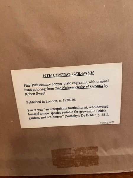 Set of 3 Fine 19th C Framed Hand Colored Geraniums by Robert Sweet