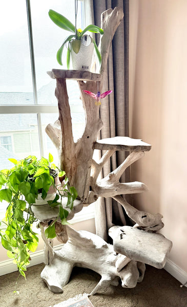 Handcrafted Natural Driftwood Cat Tree or Plant Stand