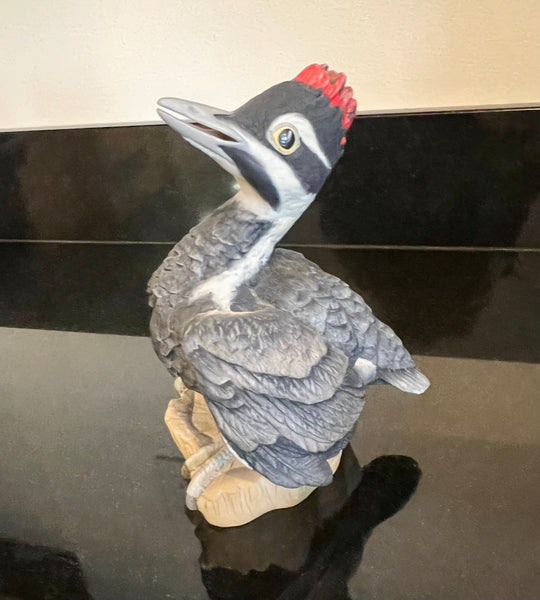 Boehm Fledgling Pileated Woodpecker Porcelain Figurine