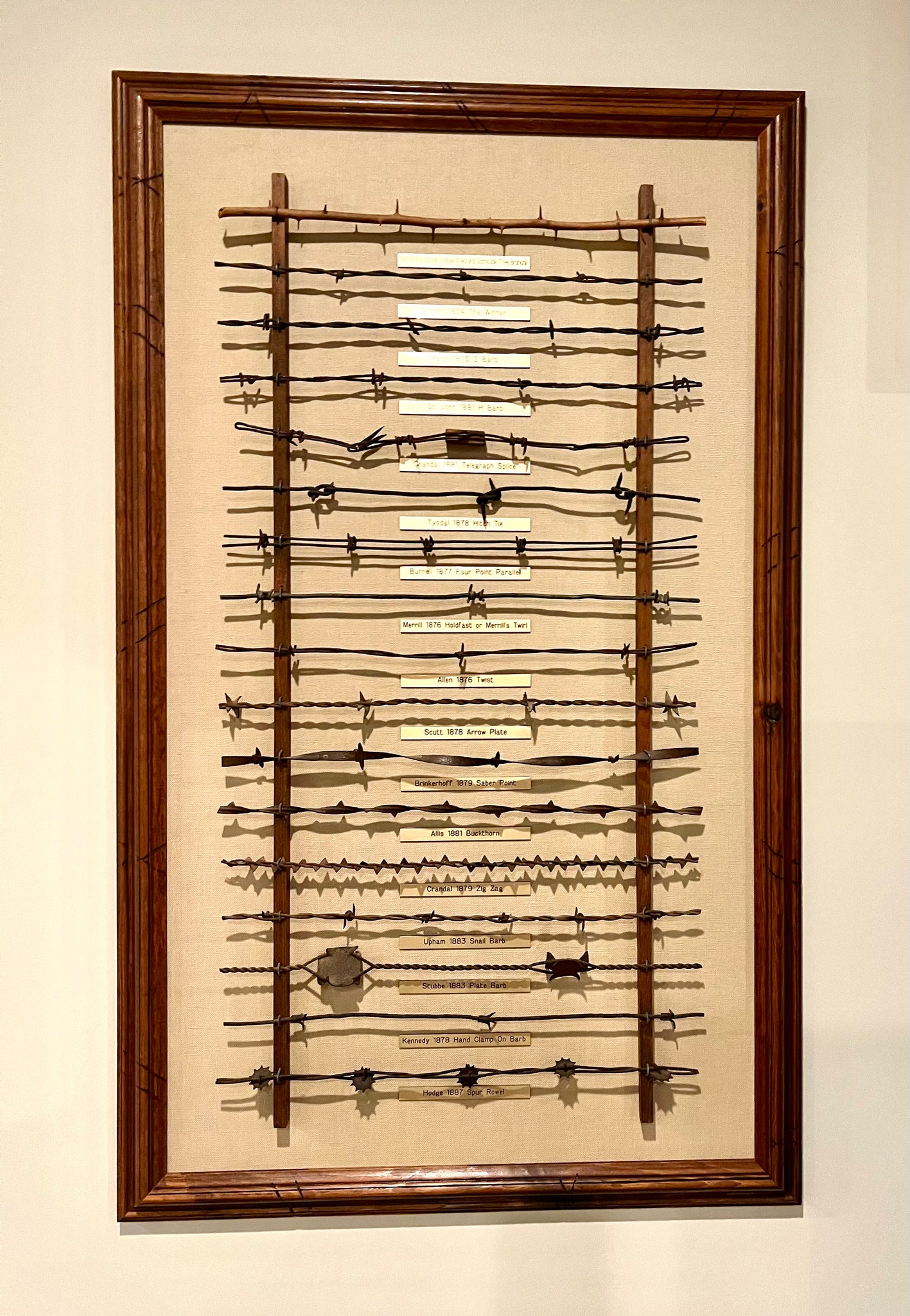 Antique Barbed Wire Display Case Art