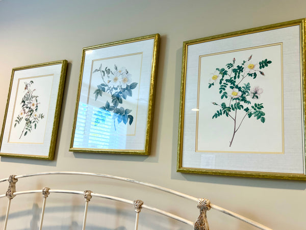 Trio of Framed Botanical Art