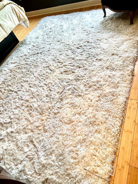 Ivory Area Rug