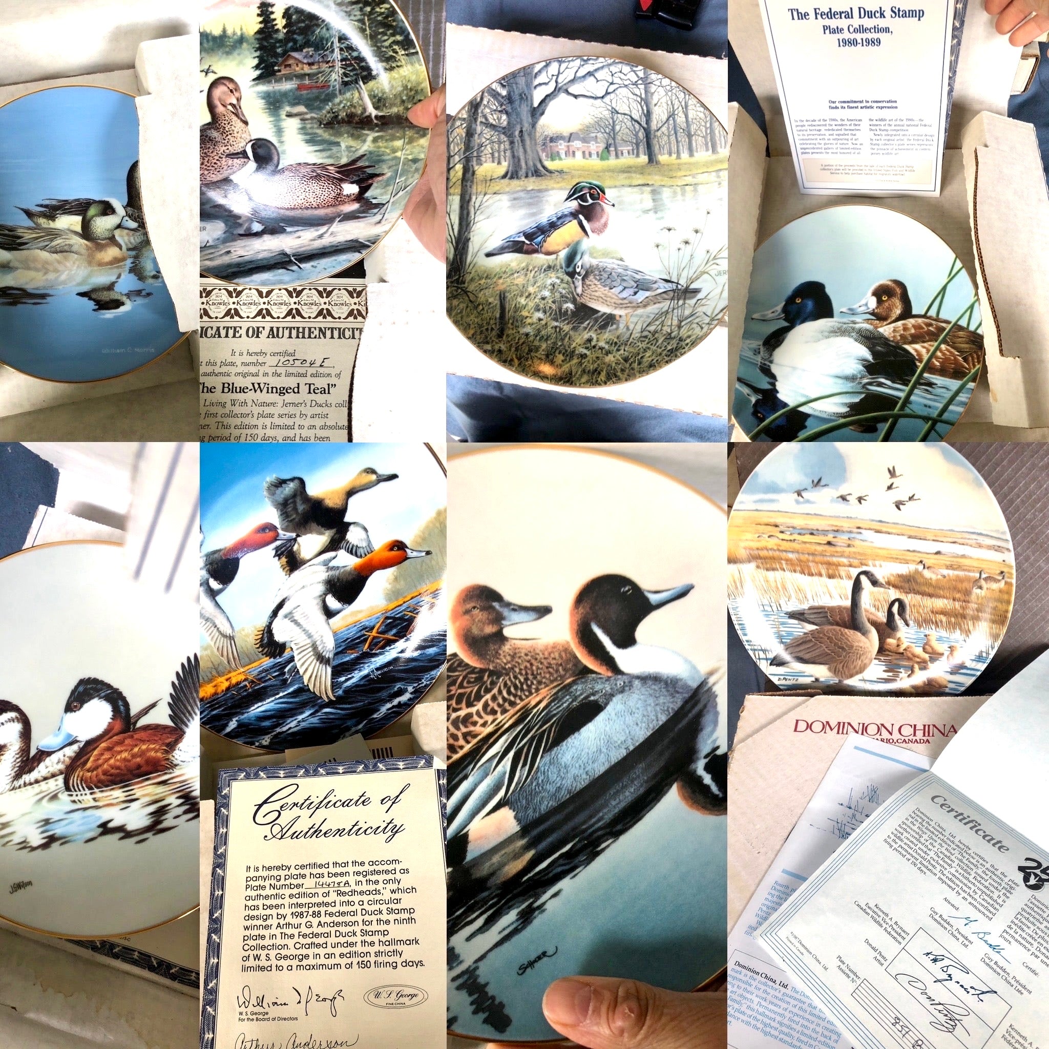 Set of 8 Commemorative Duck Plates in Original Boxes by WS George and Knowles