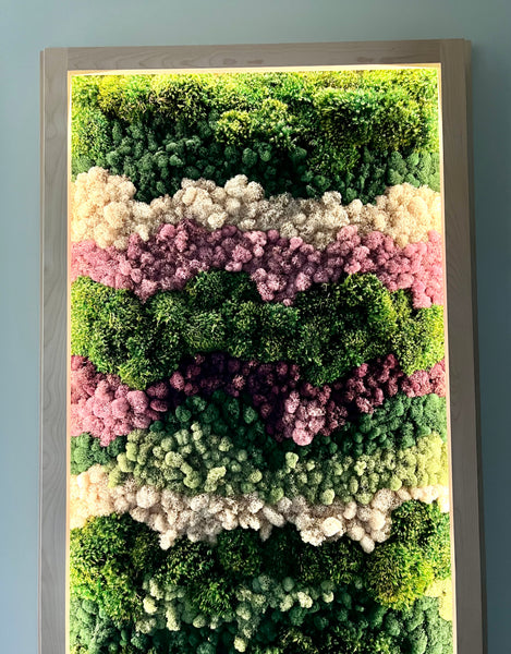 Custom Made Framed, Lighted Decorative Wall Art Panel Featuring Stabilized Natural Lichens, Moss and Plants