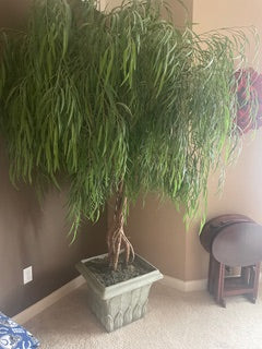 Potted Faux Willow Tree