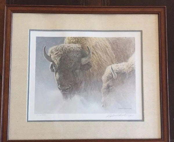 Robert Bateman - Wood Bison Portrait 1984 - Signed and Numbered Lithograph 226-950 - Matted and Framed with Glass