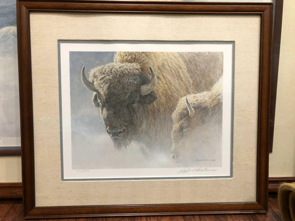 Robert Bateman - Wood Bison Portrait 1984 - Signed and Numbered Lithograph 226-950 - Matted and Framed with Glass