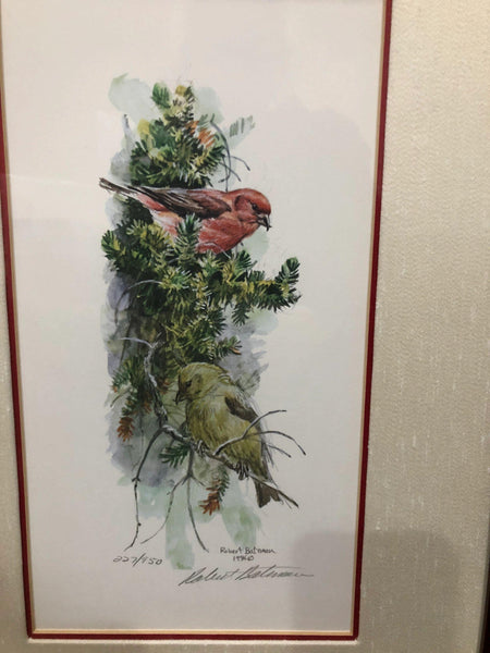 Robert Bateman - Red Crossbills 1986 - Signed and Numbered Lithograph 227-950 and Framed with Glass