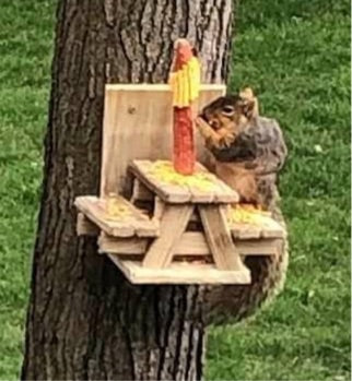 Squirrel Picnic Table, Squirrel Feeder, Mini Picnic Table, Corn Cob, Wood Feeder, Bird Feeder, Chipmunks, Wildlife, Backyard Decor